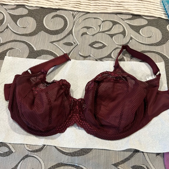Eloni burgundy bra - Picture 3 of 5